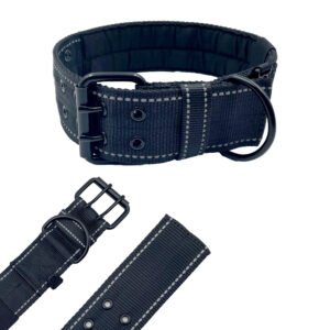 Black 2 Inch Wide Nylon Webbing Dog Collar