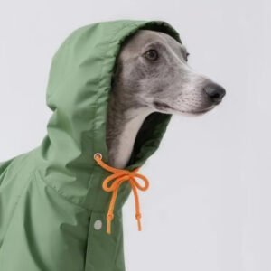 Desinger Reflective Waterproof Dog Riancoat