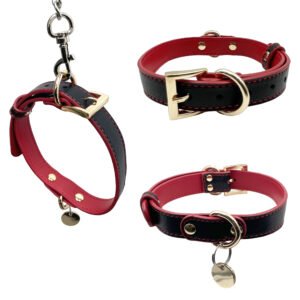 Genuine Leather Dog Collar With Metal Buckle