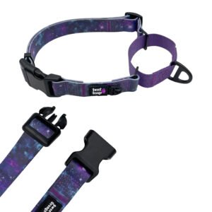 Waterproof Martingale Dog Collar With Printing Design
