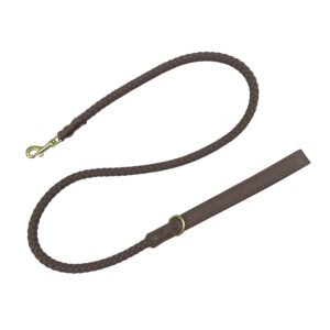 Braided Vegan Leather Dog Leash