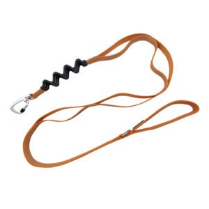 Orange  Shock Absorb Bungee Dog Leash