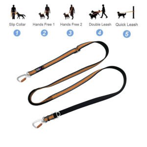 Orange Multi Functional Dog Leash With Aluminum Carabiner