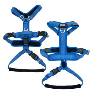 Full Body Dog Vest, Removable Waist Strap Double Shutter Dog Harness