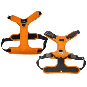 Waterproof Nylon Dog Harness For Big Dog