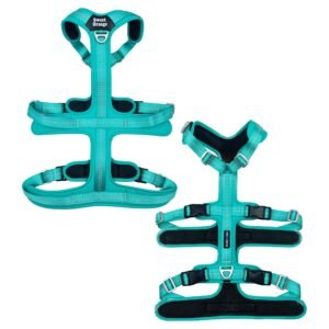 Double H Dog Harness With 4 Clips