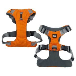 Orange Hiking Walking Dog Harness With Soft Lining