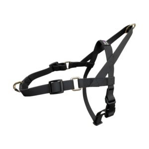 Waterproof Pvc Silicone Dog Harness With Brass Accessories For Beach Sea Swimming