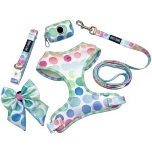 Dog Collar Leash Harness Bowtie Poop Bag Holder Combo