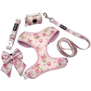 Custom Dog Harnes Vest Set,Puppy Harness