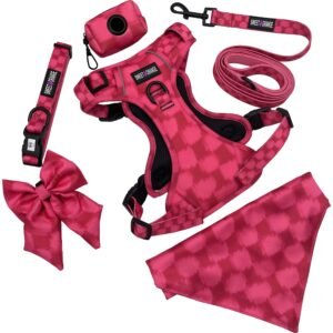 Odm Oem Dog Collar Lead Harness Set With Bow Tie And Poop Bag Holder