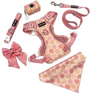 Front D Ring No Pull Dog Harness, Night Reflective Chest Adjustable Dog Harness Set