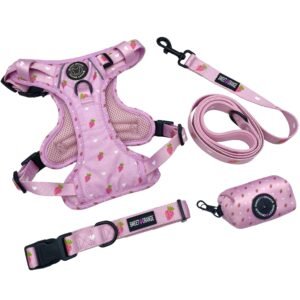 Custom Print Oxford Fabric Dog Harness Set, Dog Collar Leash Harness Bowtie Poop Bag Holder Bandana Combo