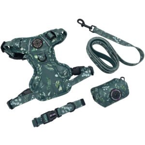 Dog Harness With Neck Buckle, Dog Harness Set