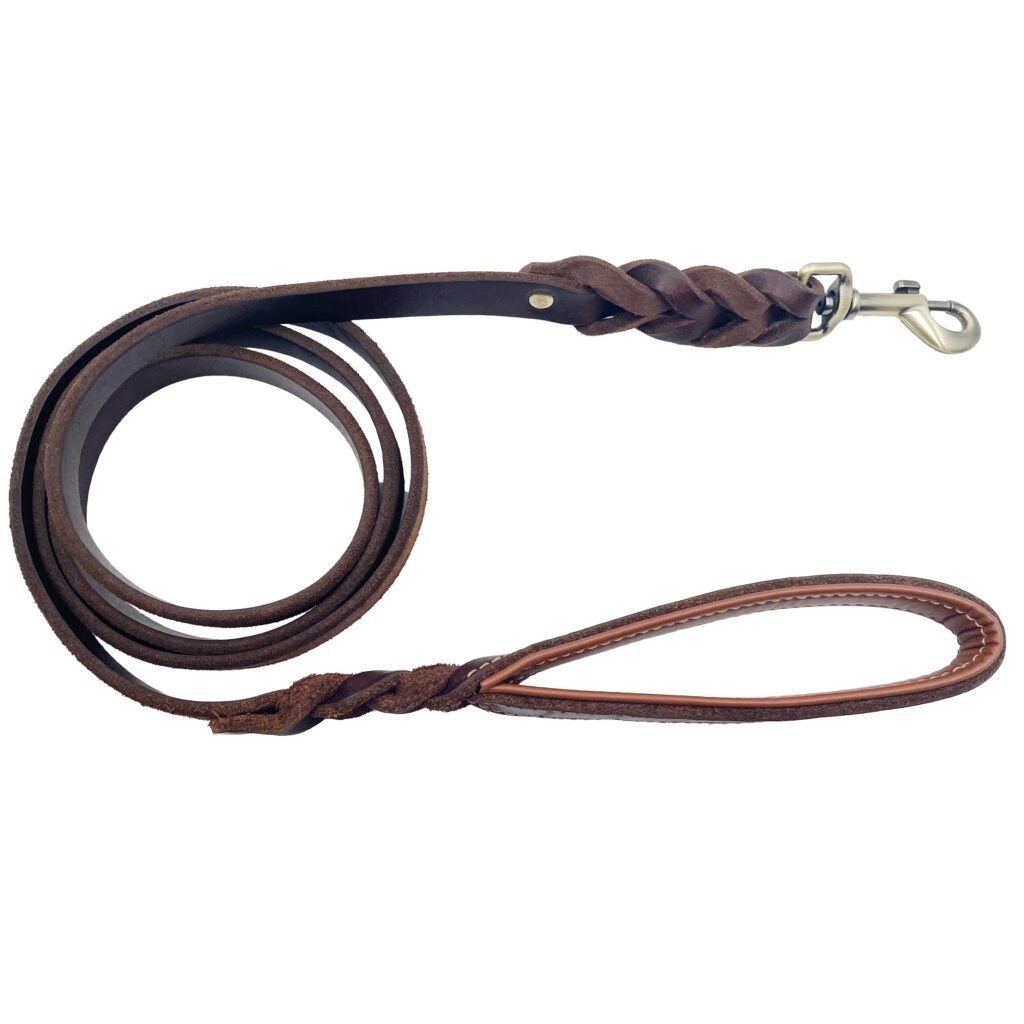 Leather Dog Leash