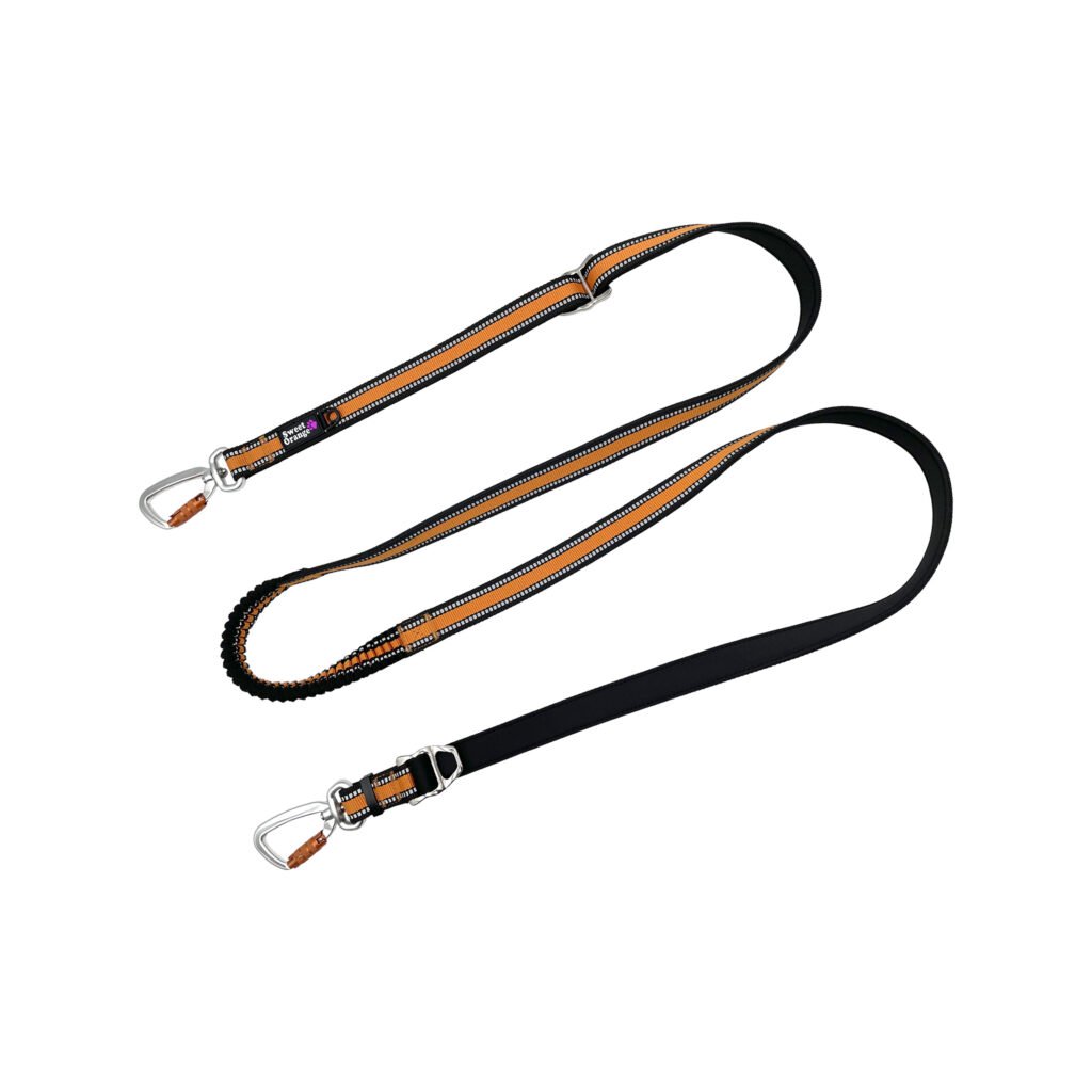 Hands free Dog Leash