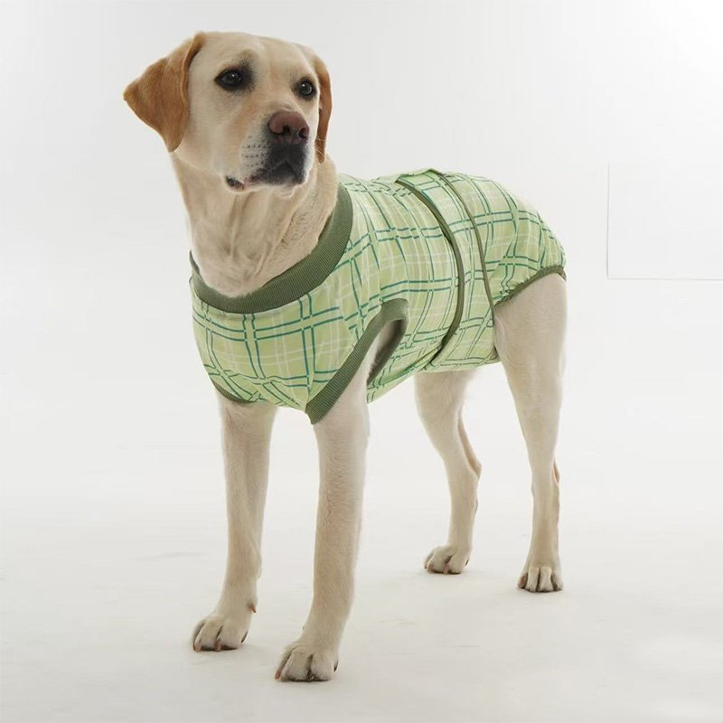 Dog Recovery Suit