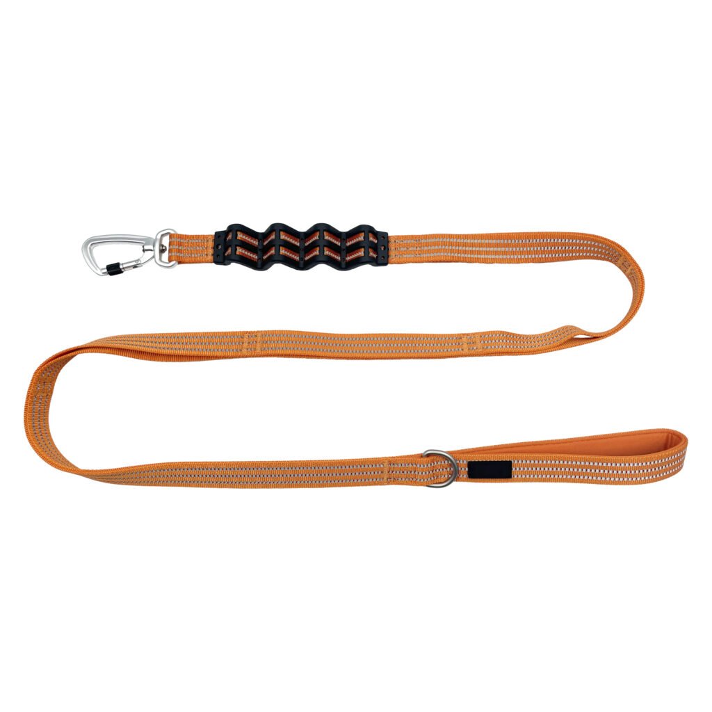 Shock Absorb Bungee Dog Leash