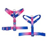 Y-shaped dog harness with gradient pink and blue webbing, adjustable strap harness for small to medium dogs
