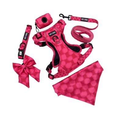 DOG-HARNESS-SET-SERIES