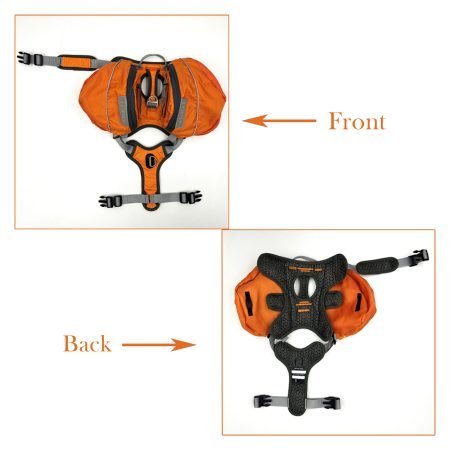 未标题-2new 拷贝